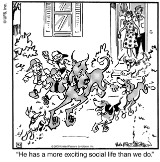 marmaduke